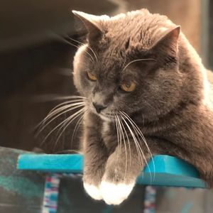 Meet your Posher, Miriam